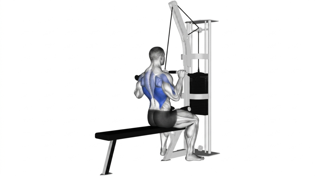 Anatomical illustration of a lat pulldown highlighting lats and upper back muscles in blue.